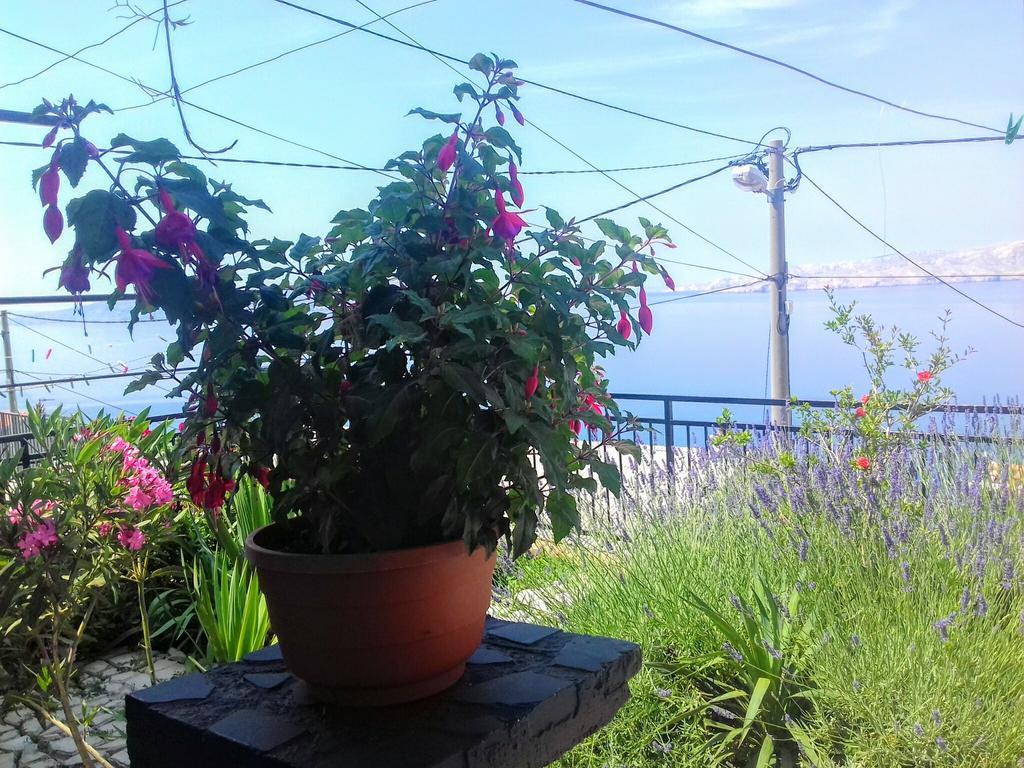 Apartment Little Princess Dora Senj  Exterior foto
